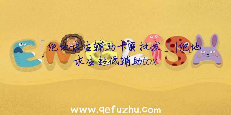 「绝地求生辅助卡蜜批发」|绝地求生超低辅助tox